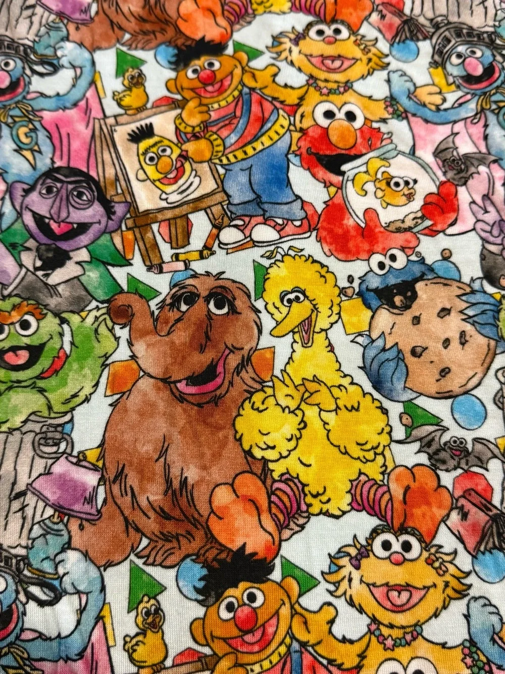 Little Snuggles Boys Girls Size 10T Sesame Street Bamboo Two Piece Pajamas New